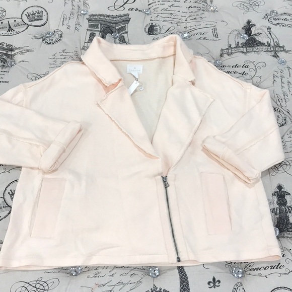 🎁 Caslon Knit Moto Jacket - Picture 4 of 8